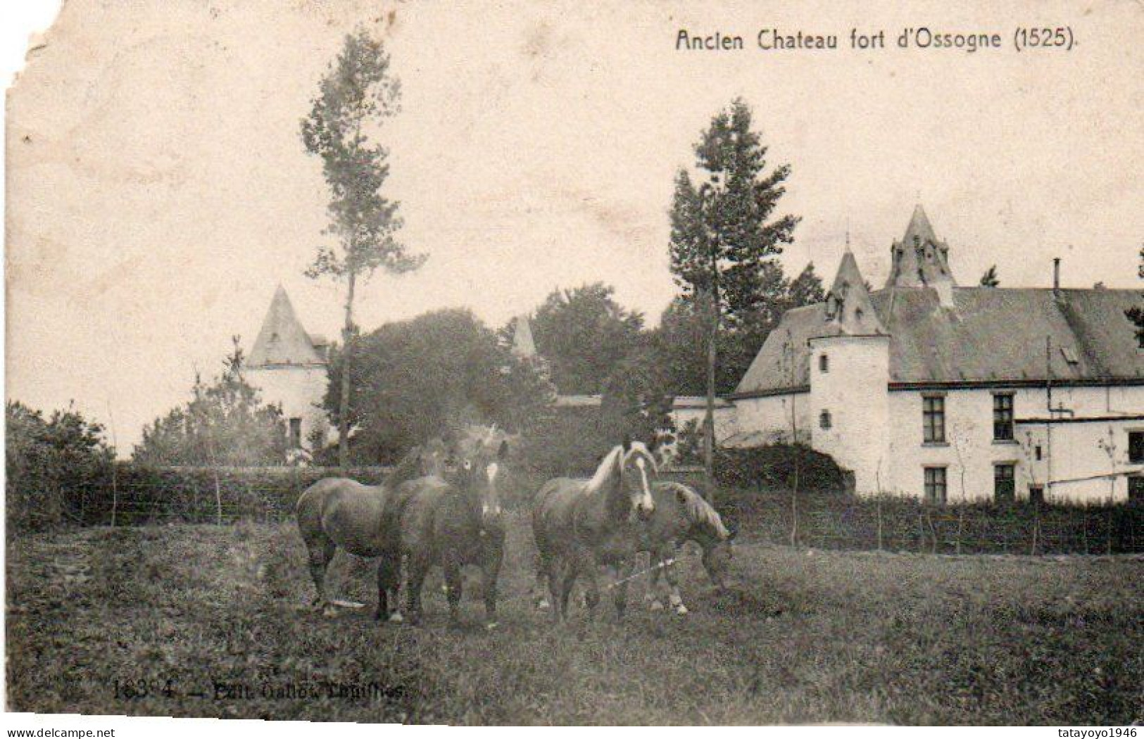 Ancien Chateau Fort D' Ossogne  (1525) Chevaux Petit Manque Coin Sup.gauche Voyagé En 19??? Ne Possède Plus Son Timbre - Havelange