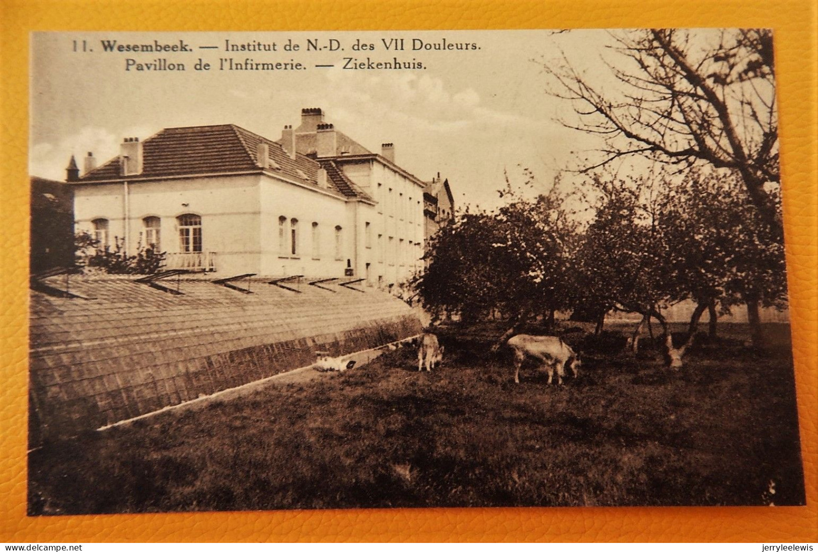 WEZEMBEEK   - WESEMBEEK -  Institut N.-D. Des VII Douleurs - Ziekenhuis  - Pavillon De L'infirmerie - Zaventem