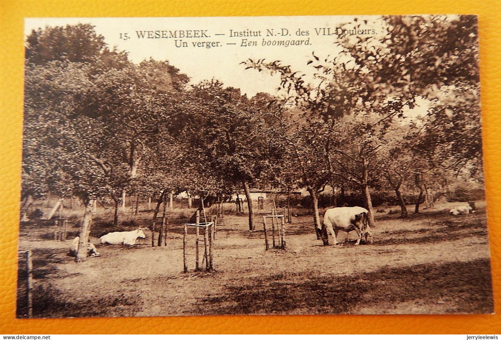 WEZEMBEEK   - WESEMBEEK -  Institut N.-D. Des VII Douleurs - Een Boomgaard -  Un Verger - Wezembeek-Oppem