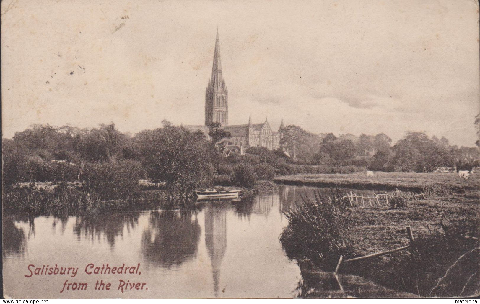 ROYAUME-UNI ANGLETERRE WILTSHIRE SALISBURY CATHEDRAL FROM THE RIVER - Salisbury