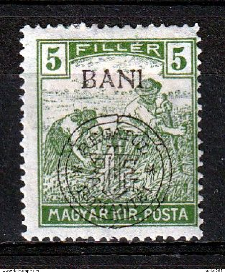 1919 - Romanian Occupation In Hungary  Mi No  28 I  LES SACKER - Bezetting