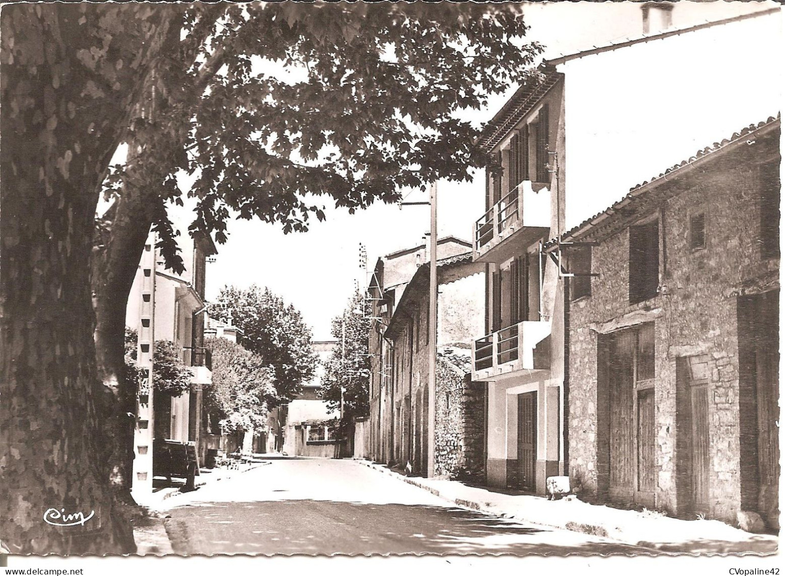 LA ROQUEBRUSSANNE (83) L'Entrée Du Village - La Route De Toulon  CPSM GF - La Roquebrussanne