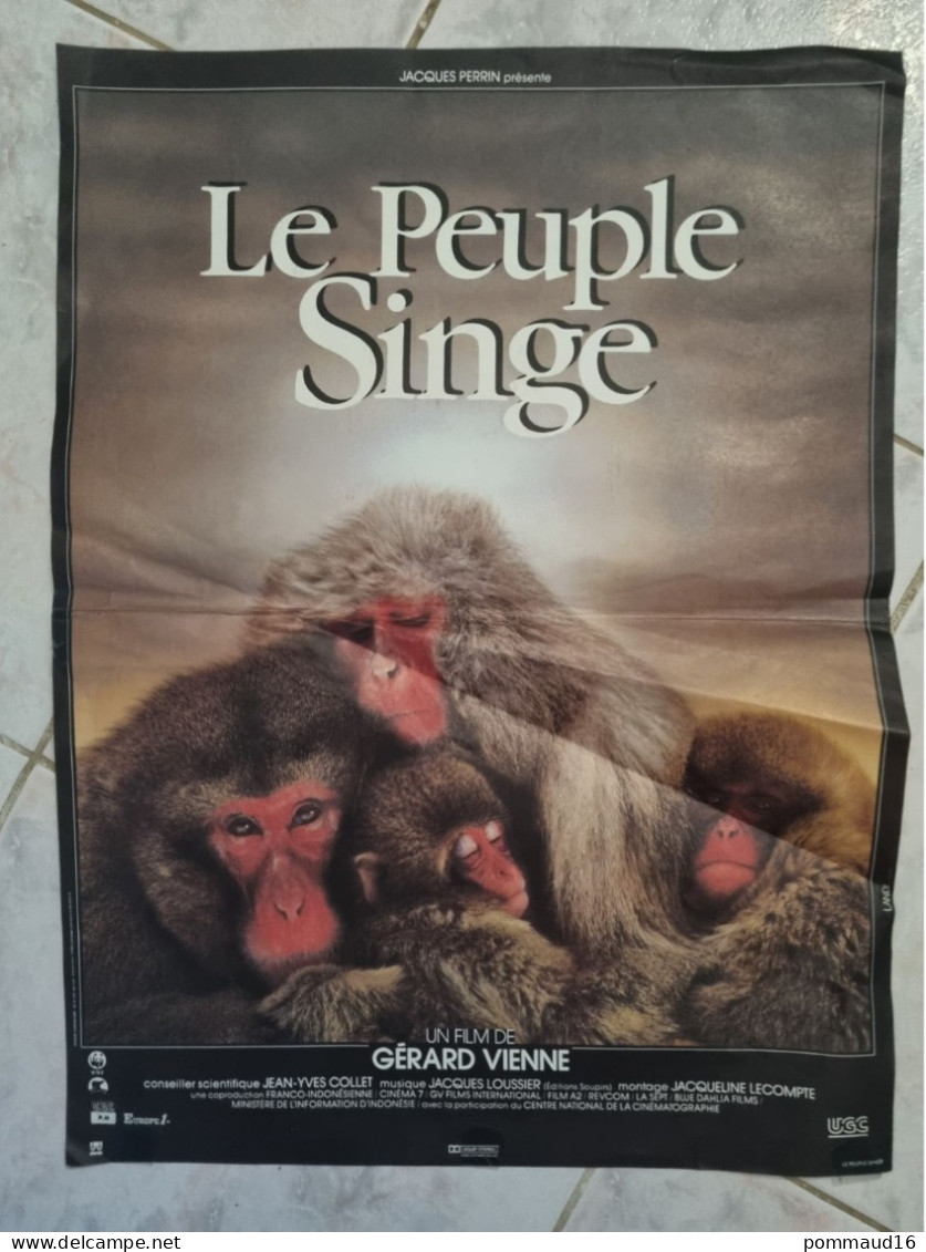 Affiche Le Peuple Singe De Jacques Perrin - Affiches & Posters