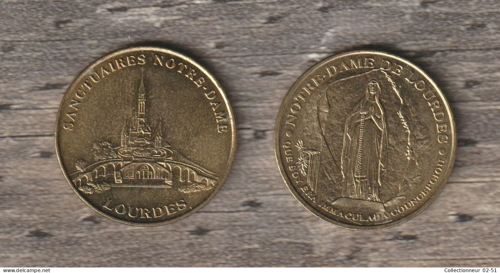 Monnaie De Paris :  Sanctuaires Notre-Dame De Lourdes (Sans Différend) - Sin Fecha