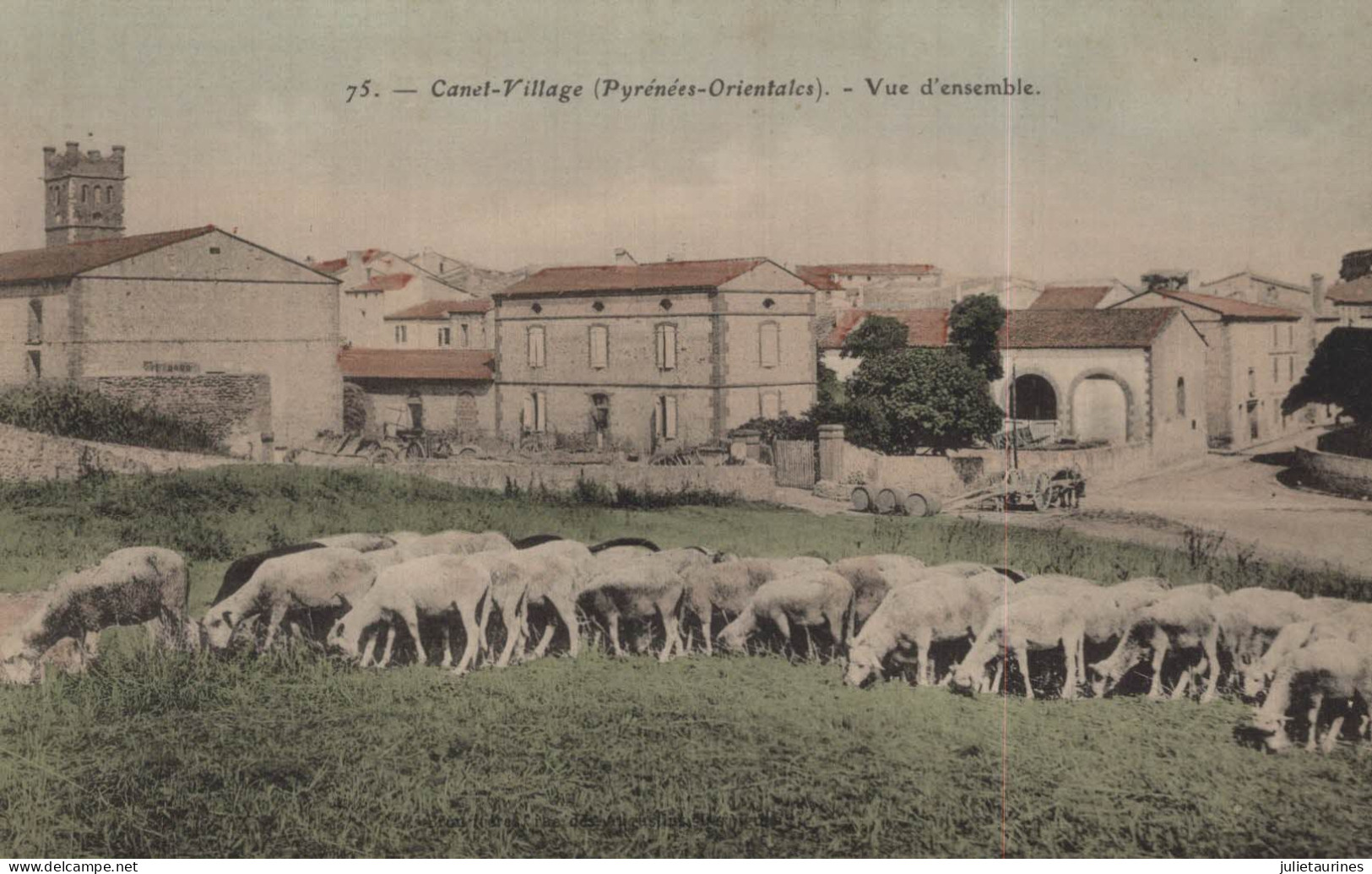 66 CANET VILLAGE VUE D ENSEMBLE TROUPEAU DE MOUTON CPA BON ETAT - Canet En Roussillon