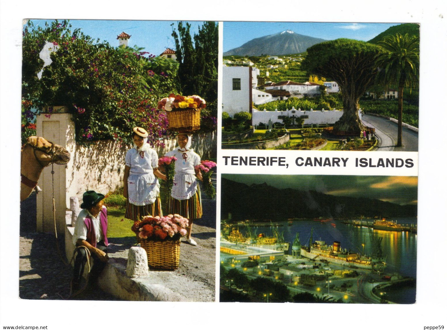 Cartolina Postale - Spagna - Isole Canarie - Tenerife 2 - Viaggiata - Lanzarote