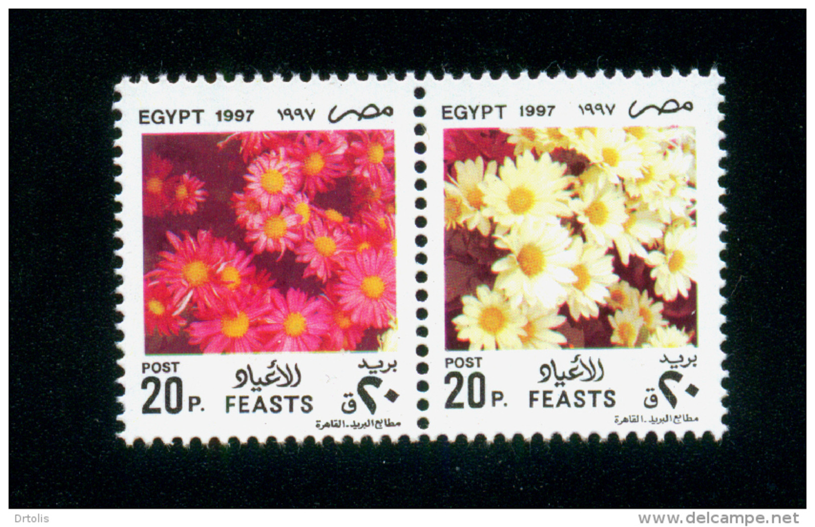 EGYPT / 1997 / FESTIVALS / FLOWERS / PINK ASTERS / WHITE ASTERS / MNH / VF - Ungebraucht