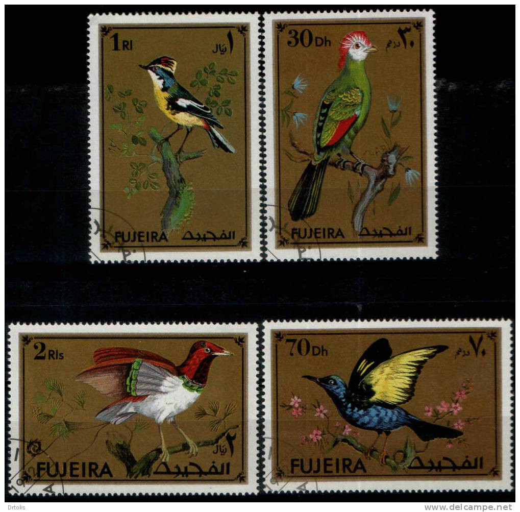 BIRDS / FUJEIRA / 4 VFU STAMPS / 3 SCANS . - Passeri