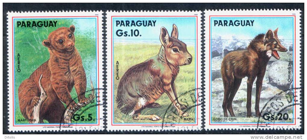 PARAGUAY / ANIMALS / 3 VF USED STAMPS . - Lapins