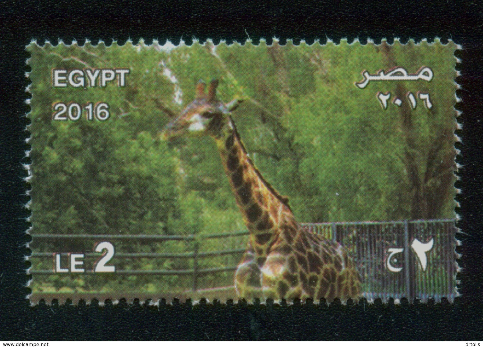 EGYPT / 2016 / GIZA ZOO ; 125 YEARS / ANIMALS / GIRAFFE / MNH / VF - Ungebraucht