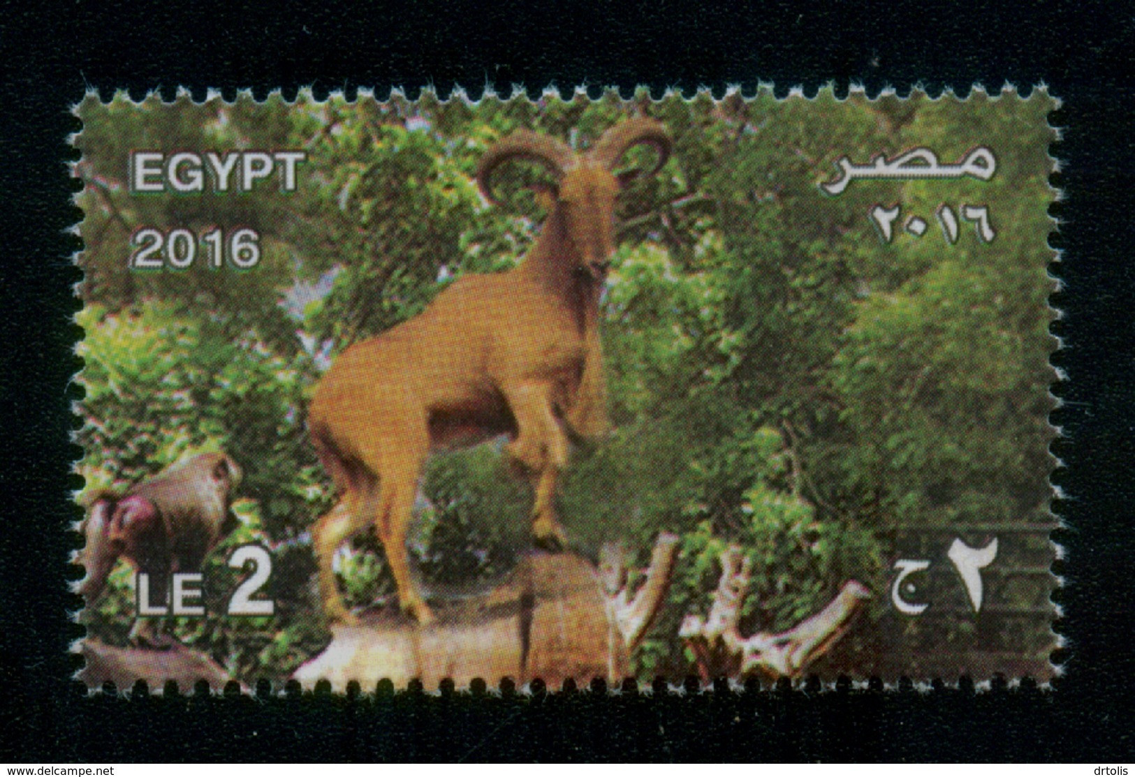 EGYPT / 2016 / GIZA ZOO ; 125 YEARS / ANIMALS / IBEX / MNH / VF - Ongebruikt