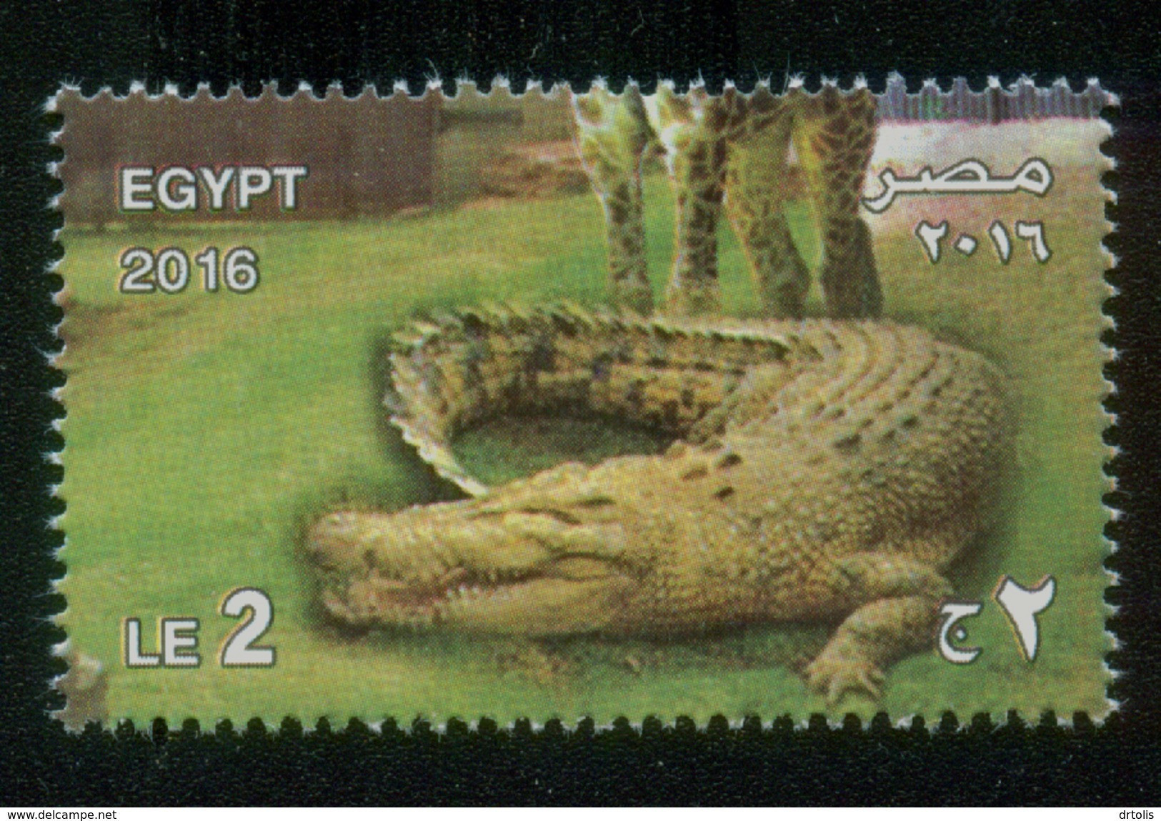 EGYPT / 2016 / GIZA ZOO ; 125 YEARS / ANIMALS / CROCODILE / MNH / VF - Neufs