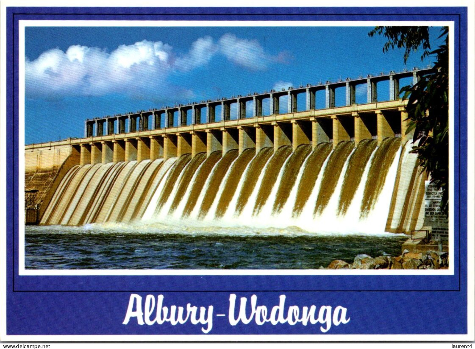 11-9-2023 (4 T 48) Australia -  NSW - Albury Wodonga (River Dam) - Albury