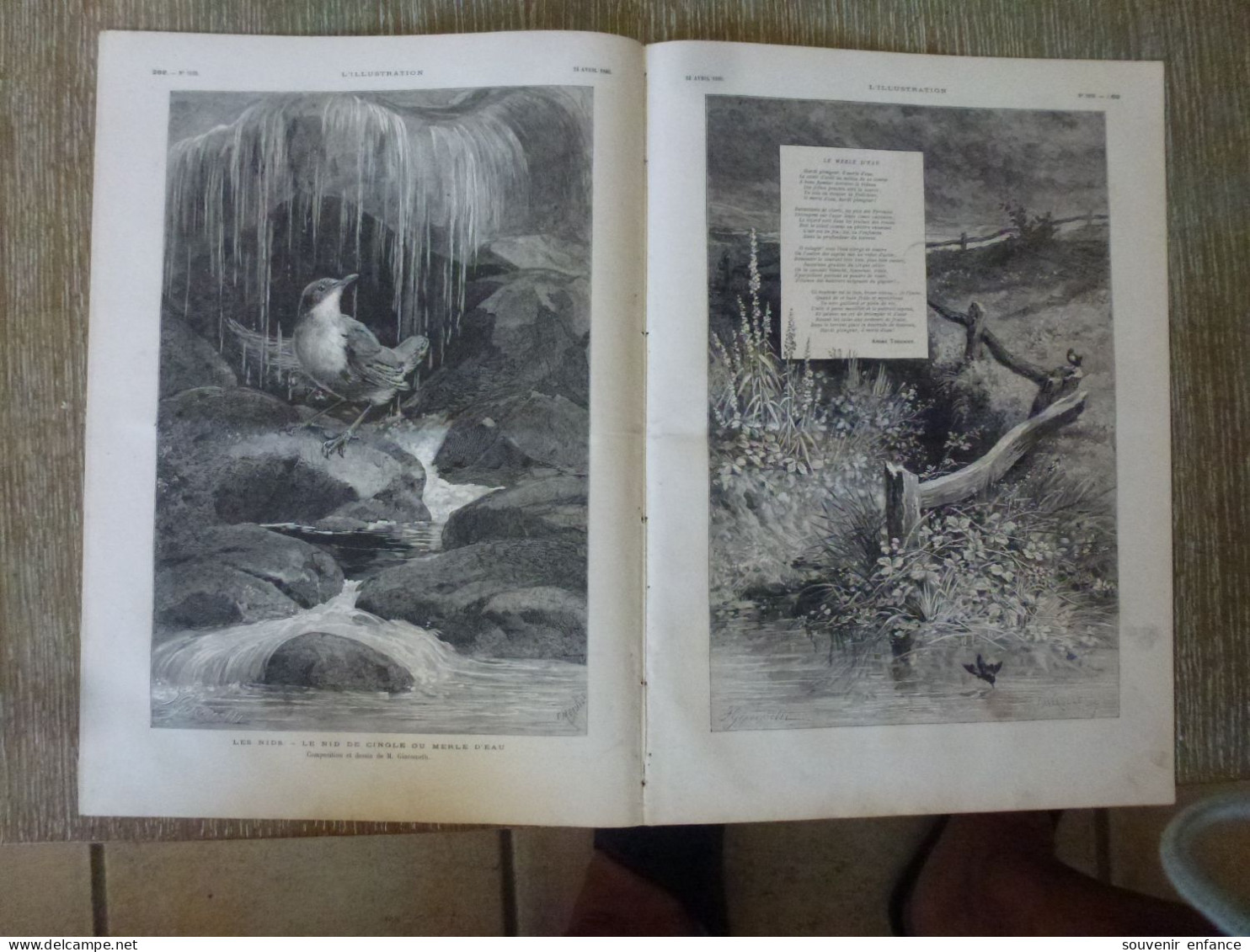 L'Illustration Avril 1880 Gladstone Vésuve Cingle Merle D'Eau Hôtel De Helder Frontière Turco Russe - 1850 - 1899