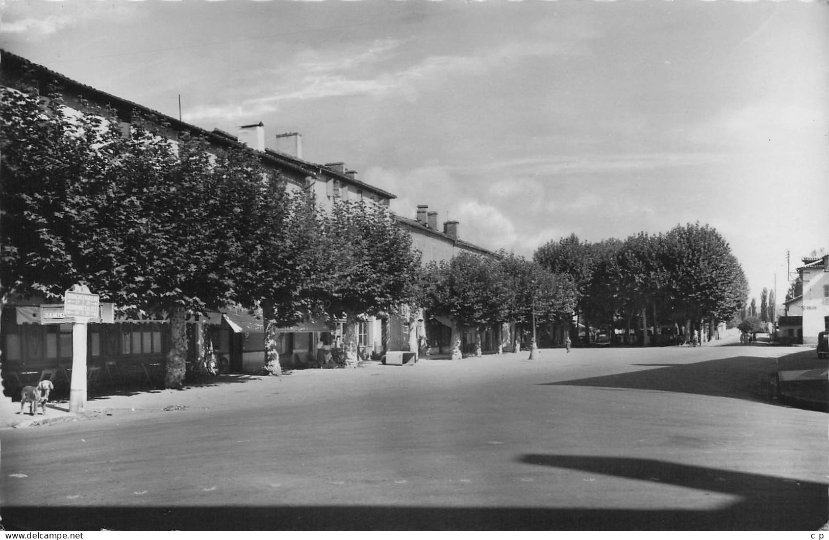 Saint Palais -  Place De La Mairie Et Les Allees  - CPSM°J - Saint Palais