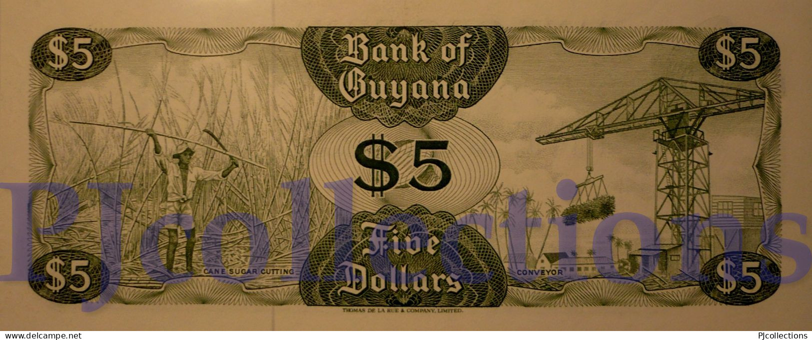 GUYANA 5 DOLLARS 1989 PICK 22e UNC - Guyana