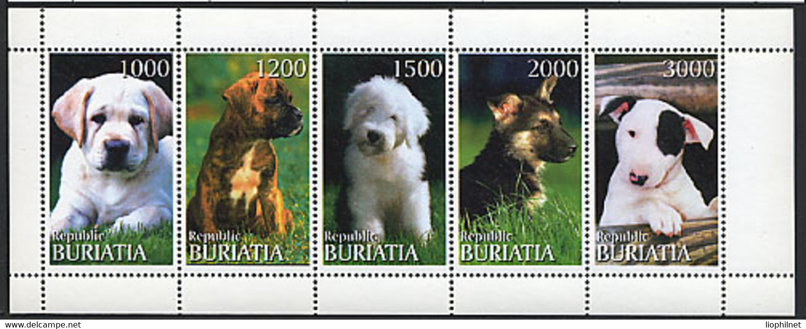 BOURIATIE BURIATIA 1997, CHIENS / DOGS, 5 Valeurs En Feuillet, Neufs / Mint. R1026 - Vignettes De Fantaisie
