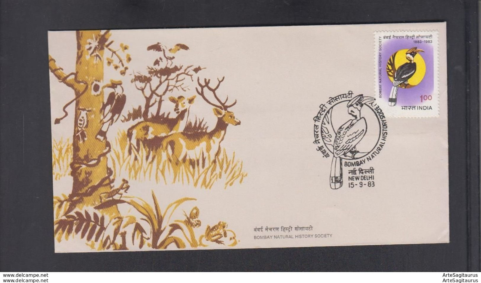 INDIA, FDC - BIRDS, Woodpecker (008) - Paons