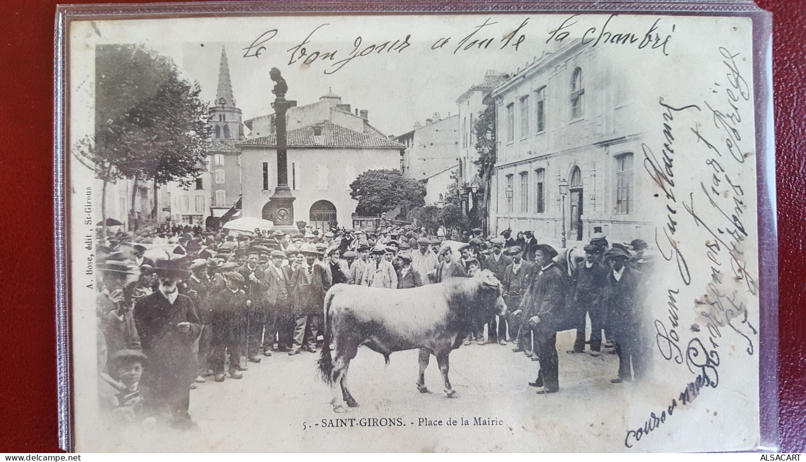 Saint Girons , Place De La Mairie , Boeuf - Saint Girons