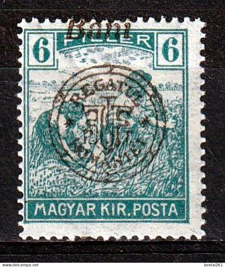 1919 - Romanian Occupation In Hungary  Mi No  29 II  LES SACKER - Ocupaciones