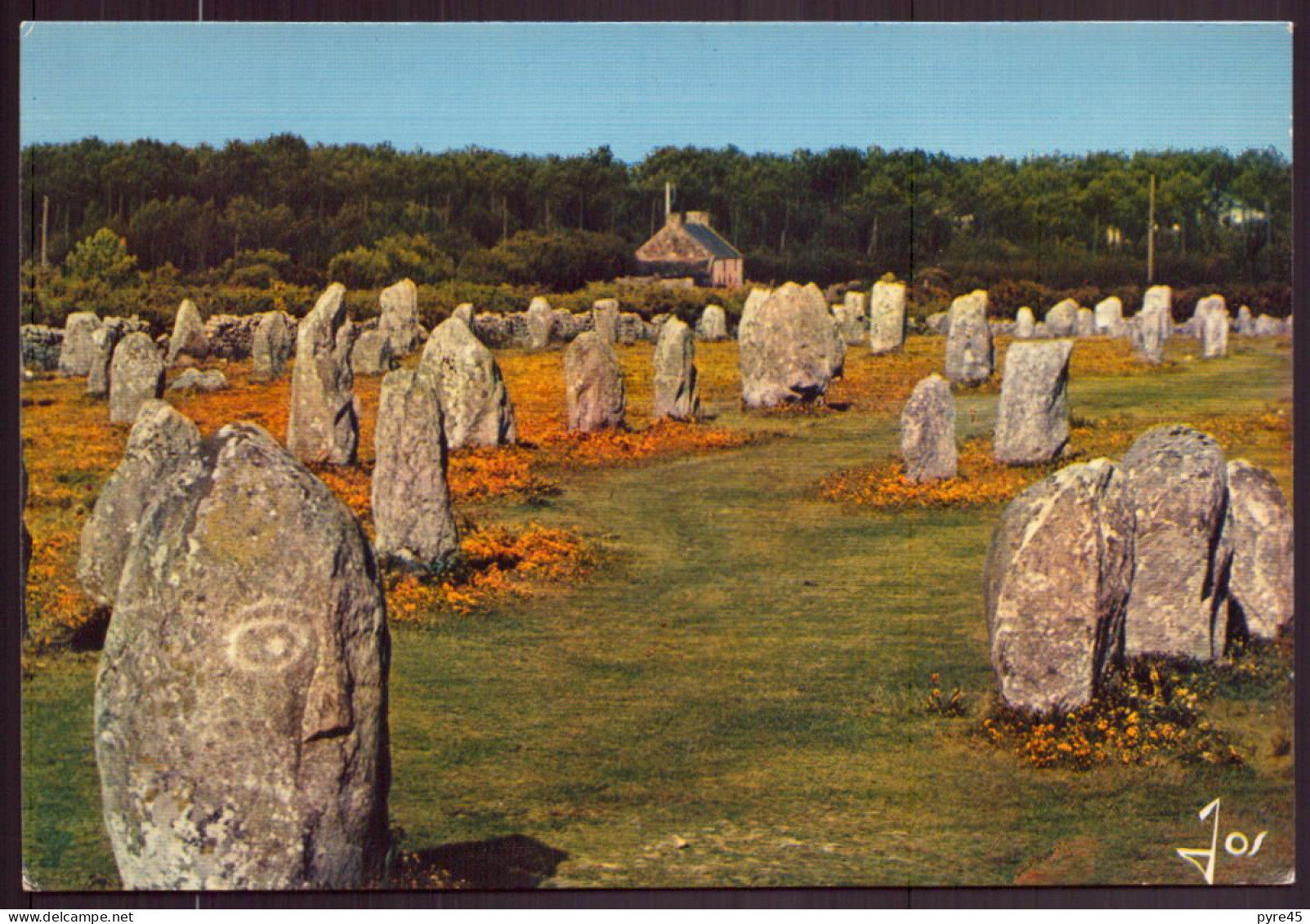 LES ALIGNEMENTS DE MENEC DANS LA REGION DE CARNAC - Dolmen & Menhirs