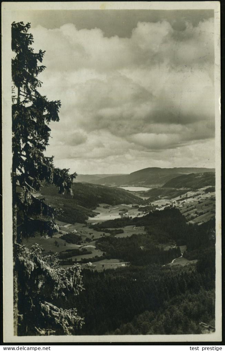 Feldberg (Schwarzwald)/  C A R I T A S H A U S 1934 (6.4.) Seltener Viol. Ra.2 = PSt. II = Hauspostamt + HWSt TITISEE (B - Otros