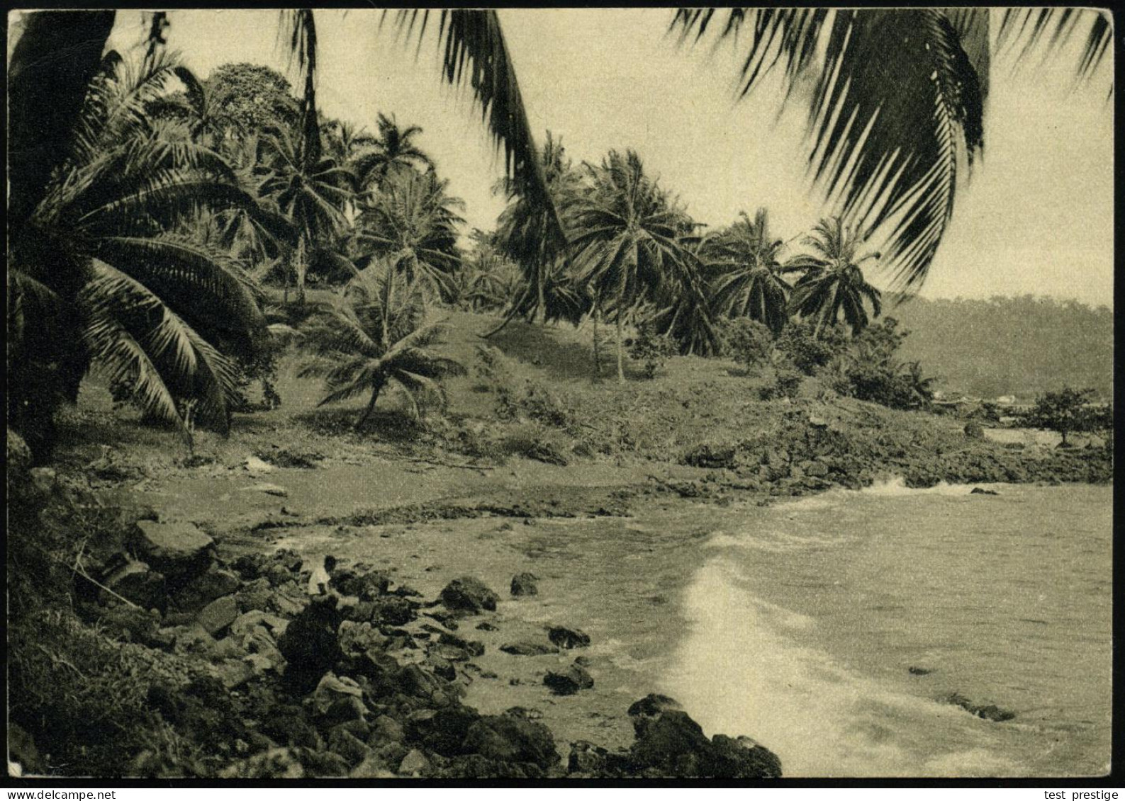 AUSSIG/ Mitteldeutsche Kolonialausstellung 1940 (13.10.) Seltener SSt = NS-Kolonialflagge Auf Reichskolonialbund-Ak.: Tr - Autres & Non Classés