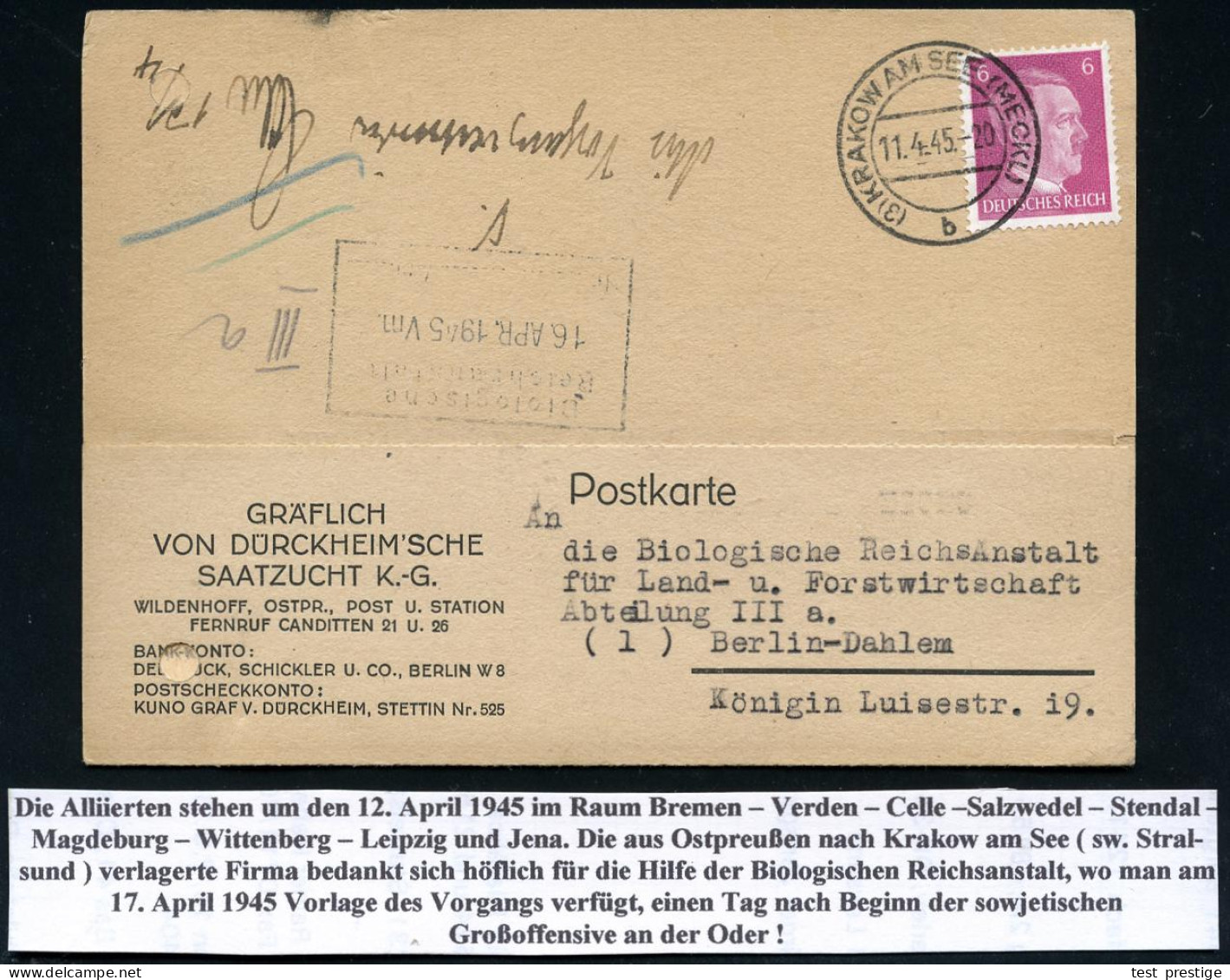 (3) KRAKOW AM SEE (MECKL)/ B 1945 (11.4.) 2K-Steg Mit Postleitgebietszahl Auf EF 6 Pf. Hitler, Späte Firmen-Kt. (Reg.-Lo - 2. Weltkrieg
