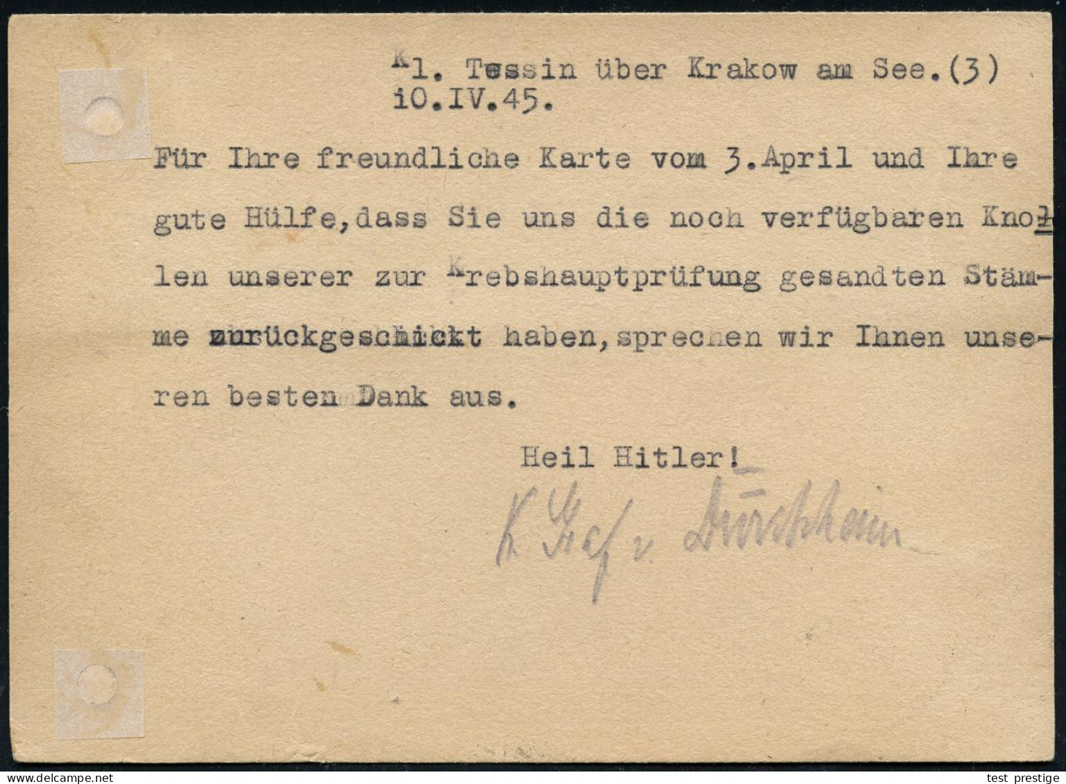 (3) KRAKOW AM SEE (MECKL)/ B 1945 (11.4.) 2K-Steg Mit Postleitgebietszahl Auf EF 6 Pf. Hitler, Späte Firmen-Kt. (Reg.-Lo - Guerre Mondiale (Seconde)