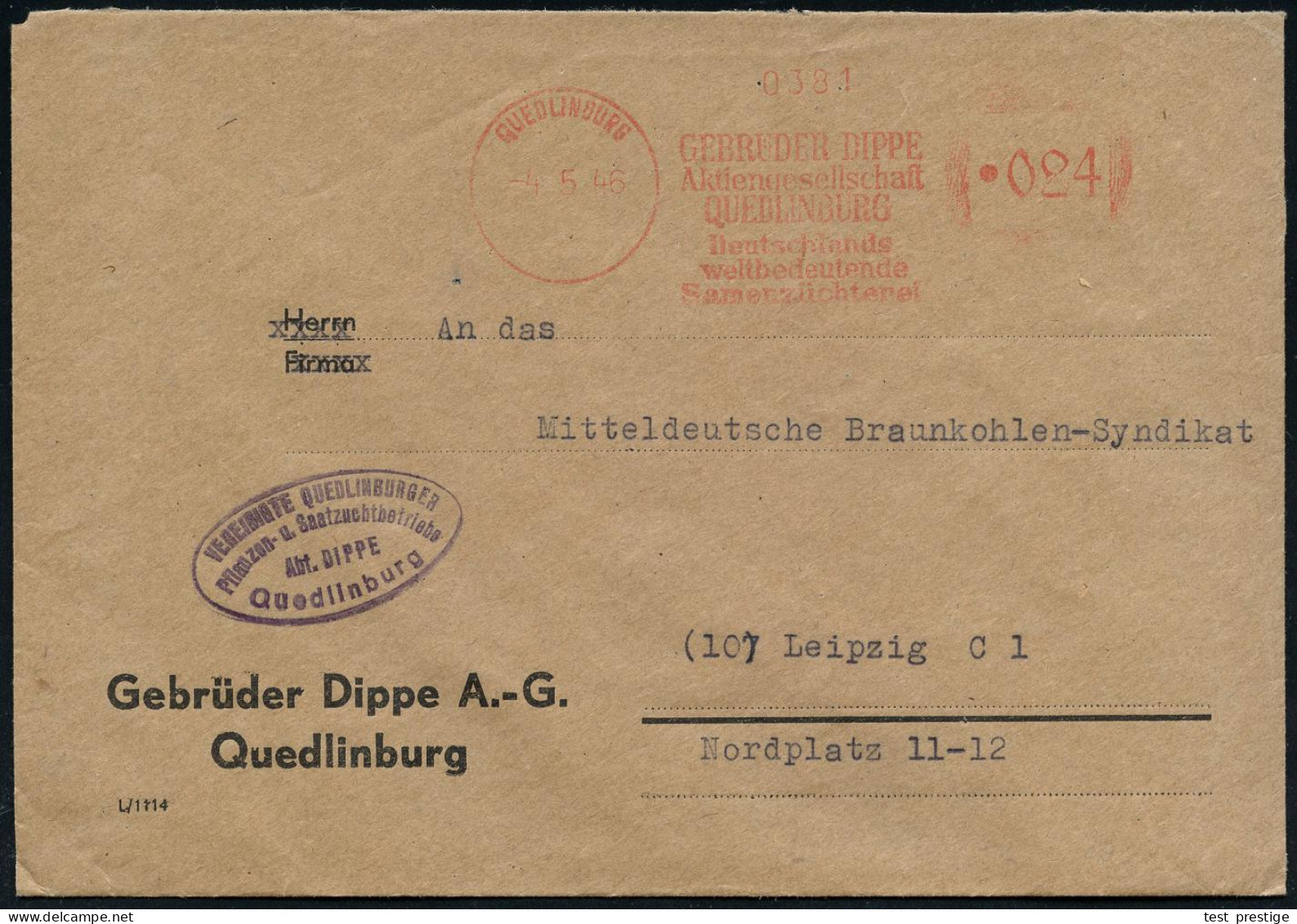 QUEDLINBURG/ GEBRÜDER DIPPE/ AG./ ..Samenzüchterei 1946 (4.5.) Seltener Aptierter AFS Francotyp "Hakenkreuz" = Entfernt  - Sonstige & Ohne Zuordnung