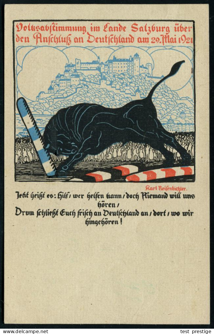 ÖSTERREICH 1921 (27.5.) Propaganda-Ausgabe "Abstimmung In Salzburg" , Kompl. Satz , 3x 1K-Brücke: SALZBURG 1, Color-Prop - Otros & Sin Clasificación