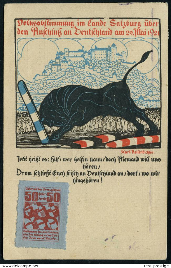 ÖSTERREICH 1921 (30.5.) Color-Propaganda-Ak.: Volksabstimmung Im Lande Salzburg.. (Stier Rammt Grenzpfähle, Sign. Reisen - Sonstige & Ohne Zuordnung