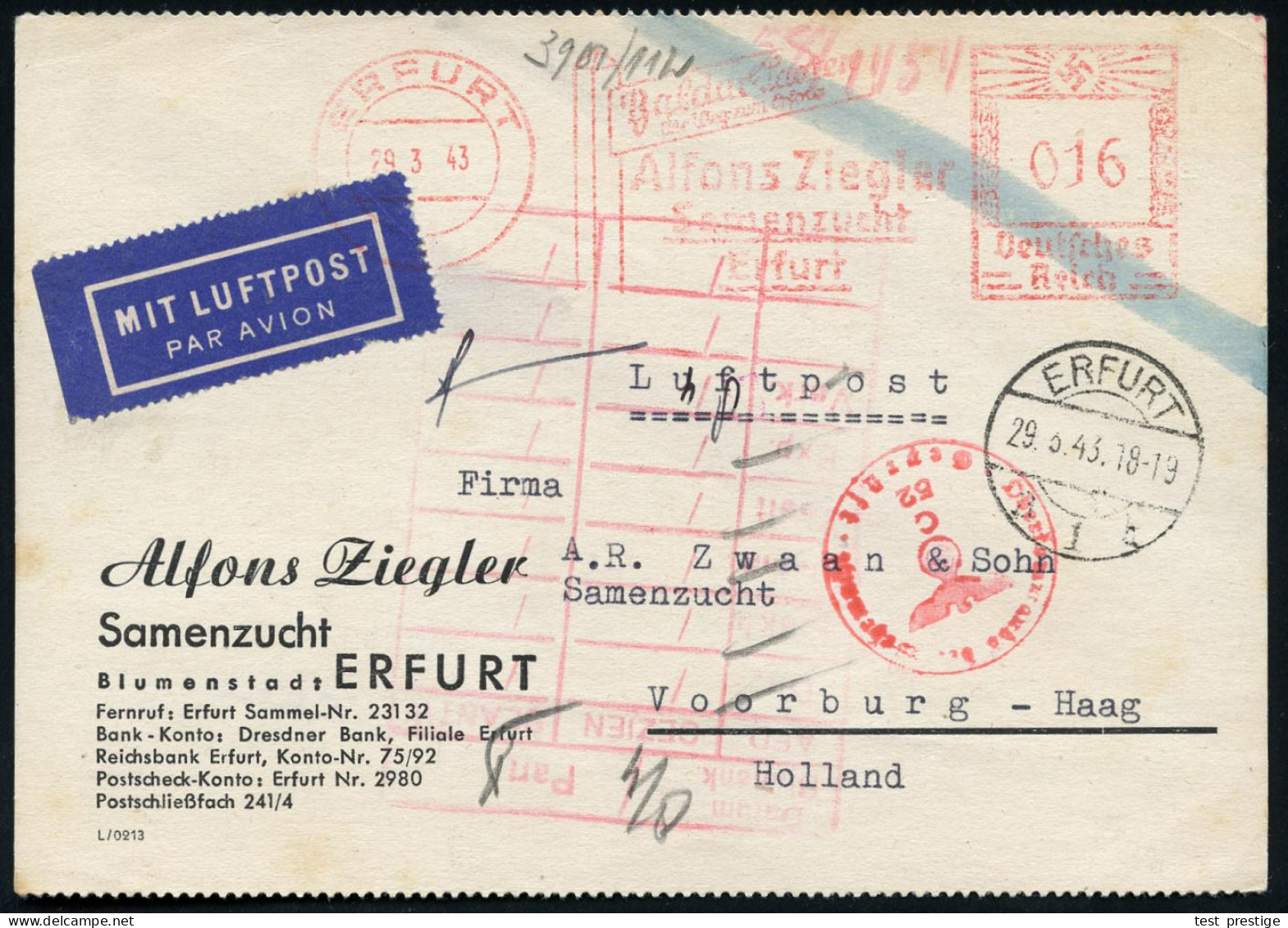 ERFURT/ Alfons Ziegler/ Samenzucht.. 1943 (29.3.) AFS Francotyp 016 Pf. + 1K-Brücke: ERFURT/a 1 B + Roter OKW-Zensur-1K: - Sonstige (Luft)