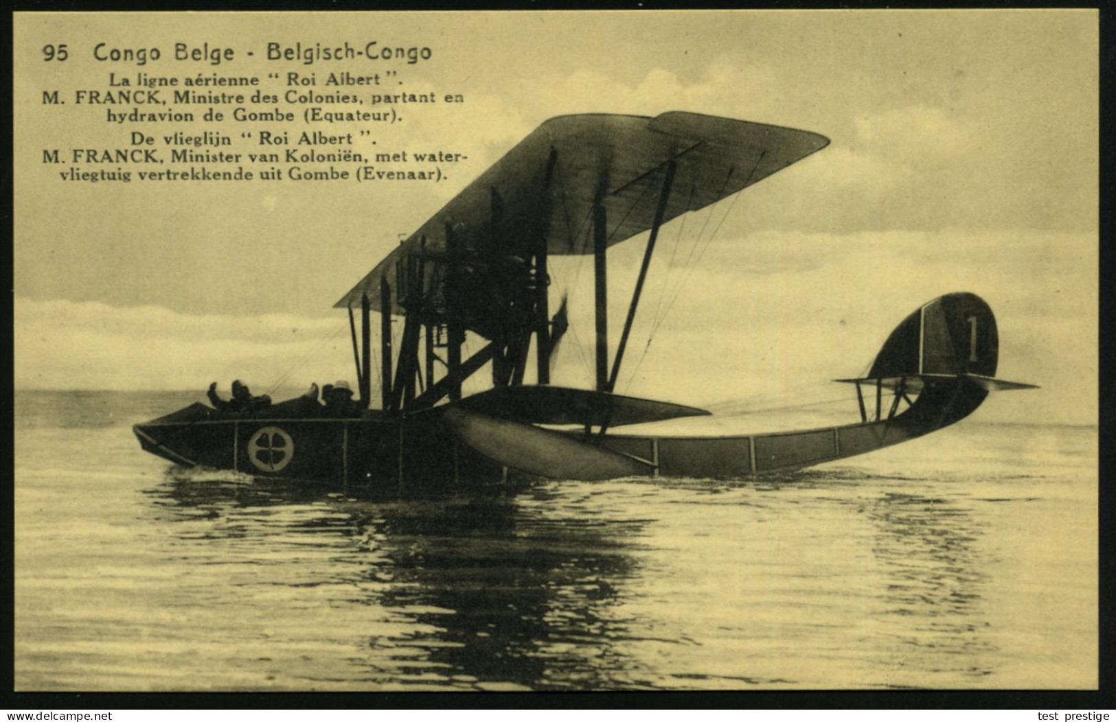 BELG.KONGO 1922 30 C. BiP Palme, Rotbraun: Hydravion, Fluggesellschaft "Roi Albert" (Wasserflugzeug) Ungebr. (HG.P 65/95 - Aviones