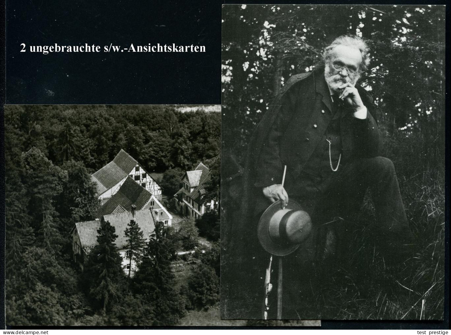 7411 SONNENBÜHL 3/ Nebelhöhle Genkingen 1981 (14.5.) HWSt = Tropfsteinhöhle Auf Amtl. P 50 Pf. Burgen, Grün + Zudruck Ne - Otros & Sin Clasificación