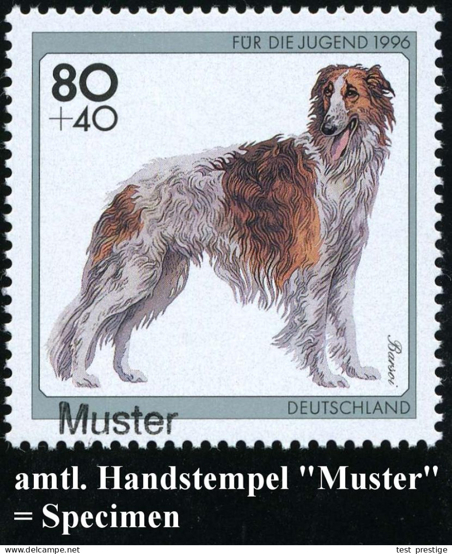 B.R.D. 1996 (Feb.) Hunderassen, Kompl. Satz = 2 Verschied. 80 + 40 Pf., 2 Verschied. 100 + 50 Pf. U. 200 + 80 Pf. Je Mit - Hunde