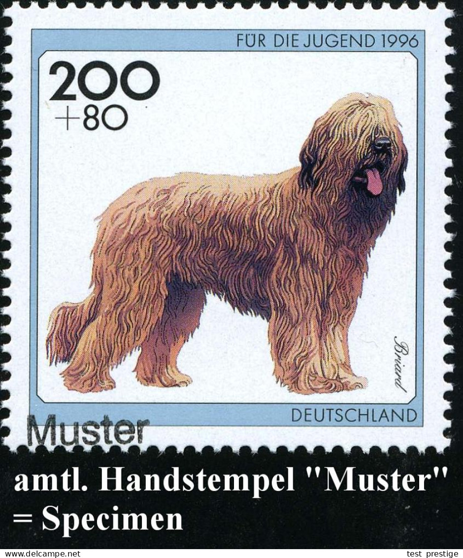 B.R.D. 1996 (Feb.) Hunderassen, Kompl. Satz = 2 Verschied. 80 + 40 Pf., 2 Verschied. 100 + 50 Pf. U. 200 + 80 Pf. Je Mit - Hunde