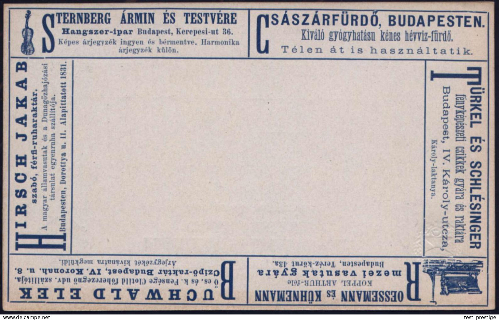 UNGARN 1892 Anzeigen-AP 2 F. Blau: STERNBERG.. Instrumente = Violine U.a. Reklame (Abb.: Feldbahn-Lore) Ungebr., Sehr Se - Musik