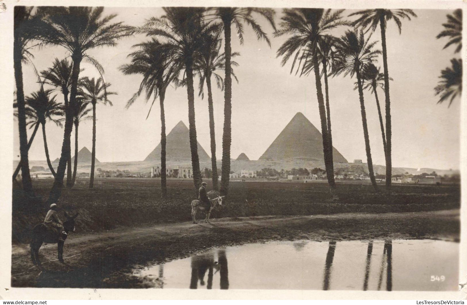 EGYPTE - Le Caire - Pyramides De Gizeh - Carte Postale Ancienne - Kairo