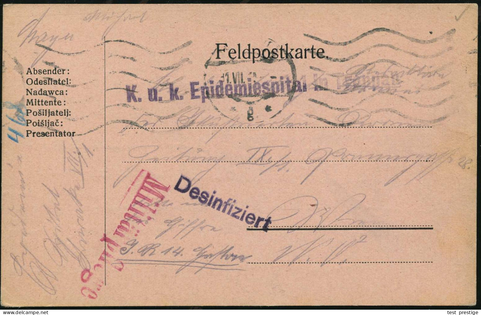 ÖSTERREICH 1915 (11.7.) Viol. 1L: K.u.k. Epidemiespital In Troppau + Viol. 1L:  D E S I N F I Z I E R T + 1L: Militärpfl - Krankheiten