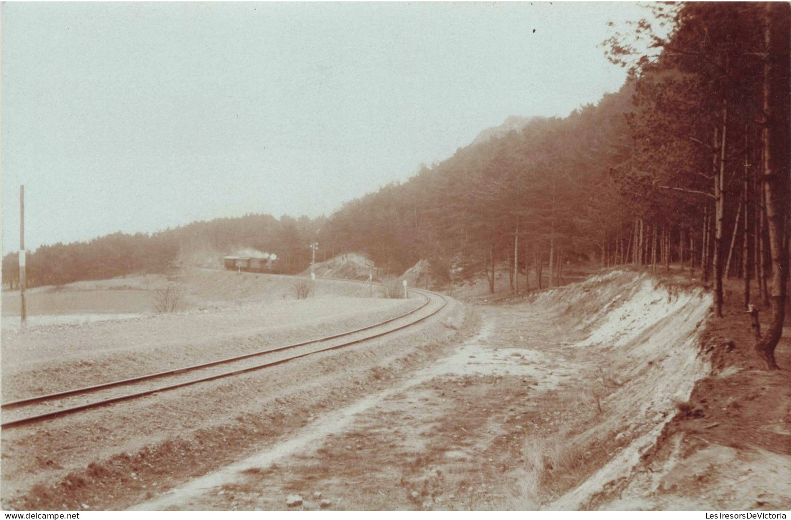 TRANSPORTS - Chemins De Fer En Pleine Campagne - Train - Carte Postale Ancienne - Trains