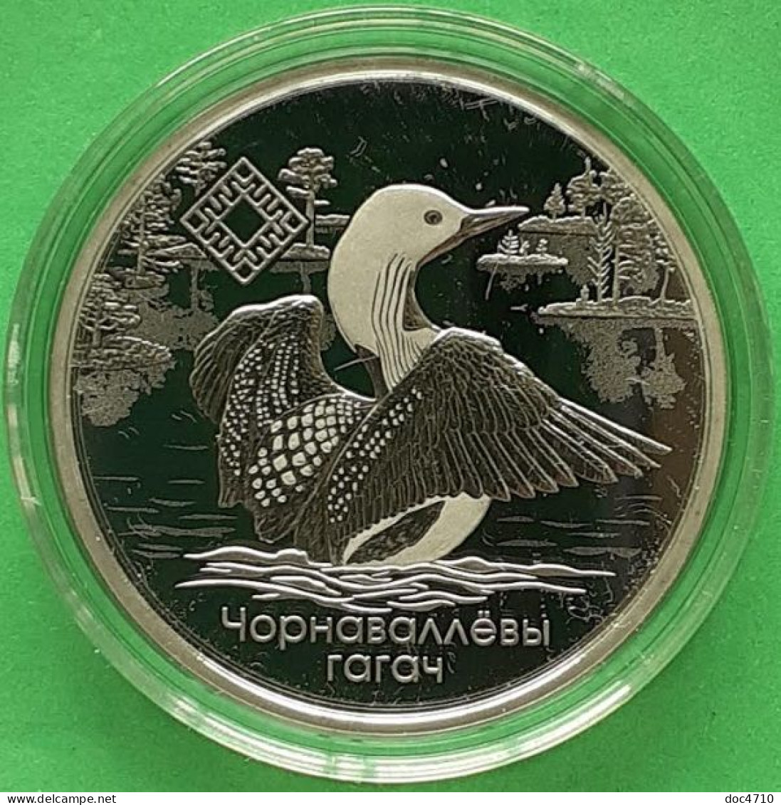 Belarus 1 Ruble 2021, Yelnya Reserve, Arctic Marlin Bird, KM#699, Prooflike - Belarús