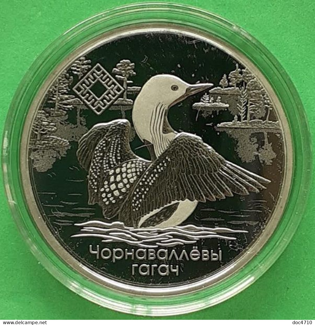 Belarus 1 Ruble 2021, Yelnya Reserve, Arctic Marlin Bird, KM#699, Prooflike - Bielorussia