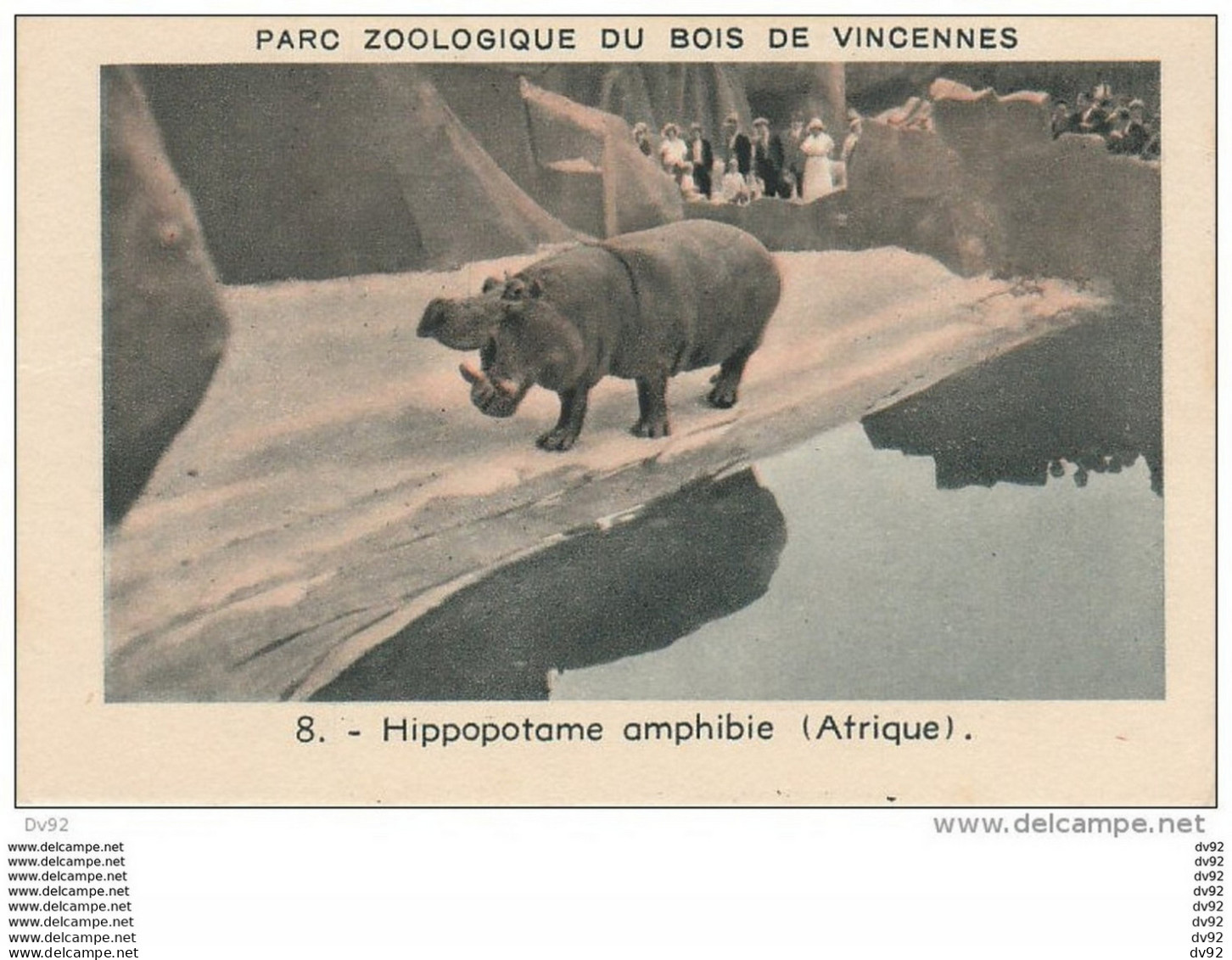 LOT DE 17 IMAGES OFFERTES PAR LA TISANE DES CHARTREUX ANIMAUX PARC ZOOLOGIQUE DE VINCENNES - Animaux