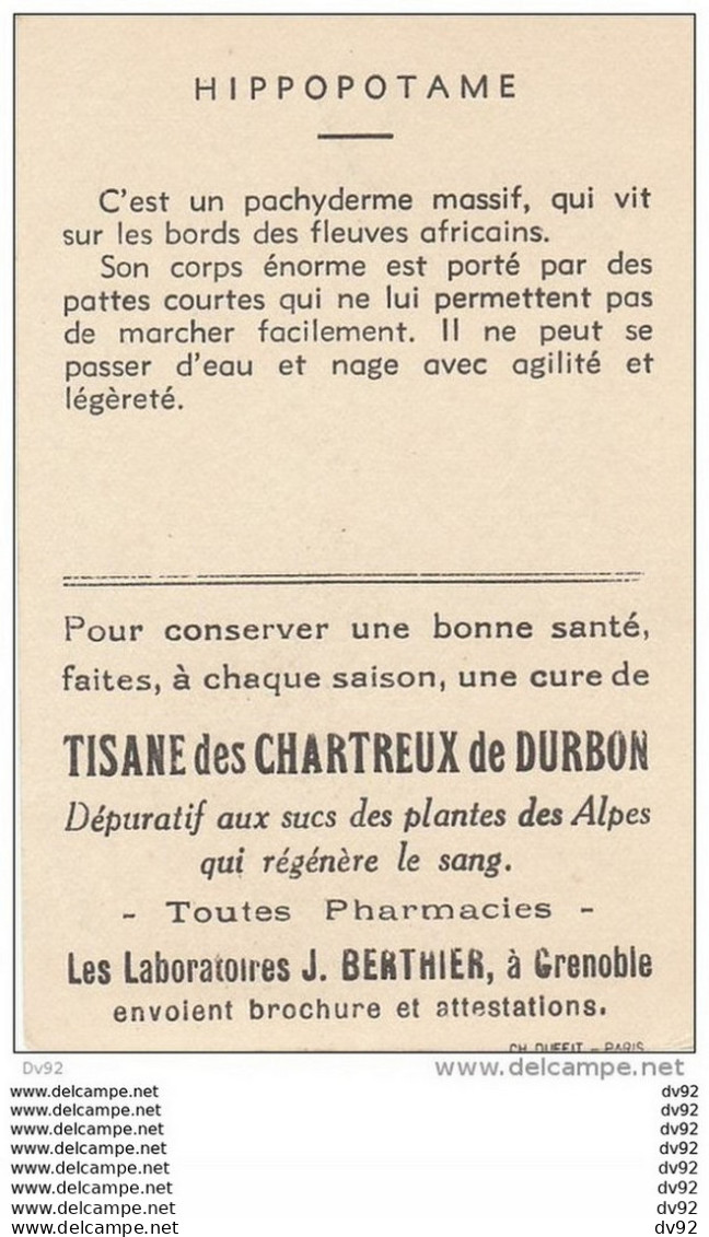 LOT DE 17 IMAGES OFFERTES PAR LA TISANE DES CHARTREUX ANIMAUX PARC ZOOLOGIQUE DE VINCENNES - Tiere