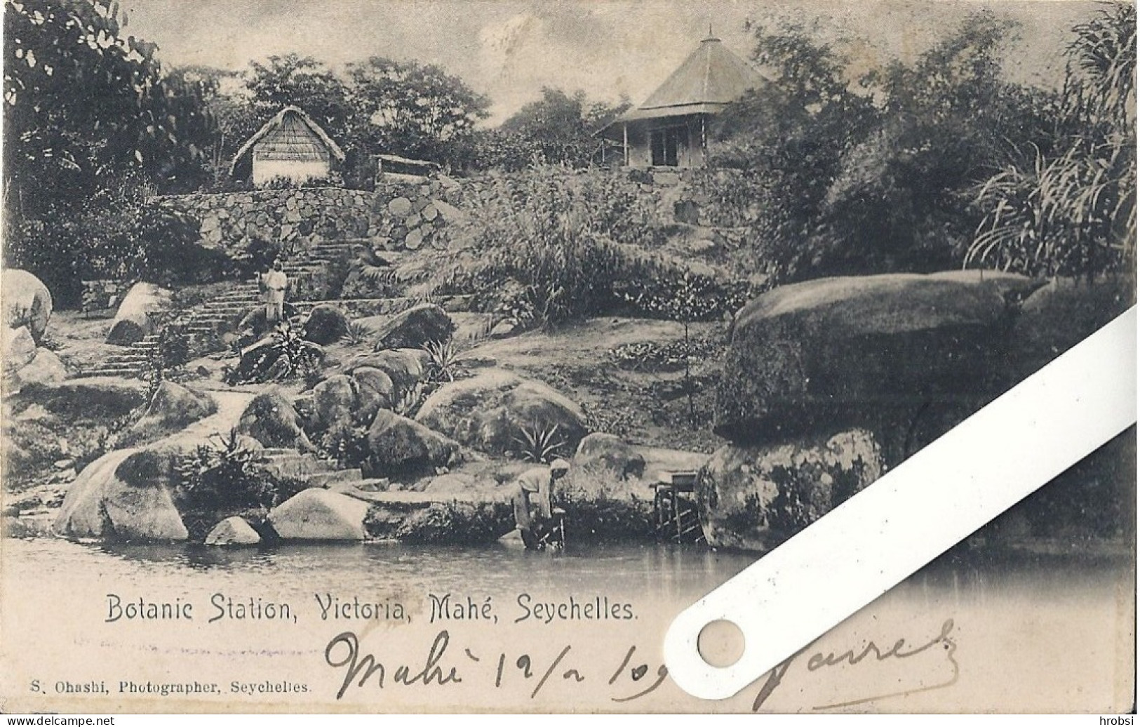 Seychelles, Mahé, Victoria, Botanic Station - Seychelles