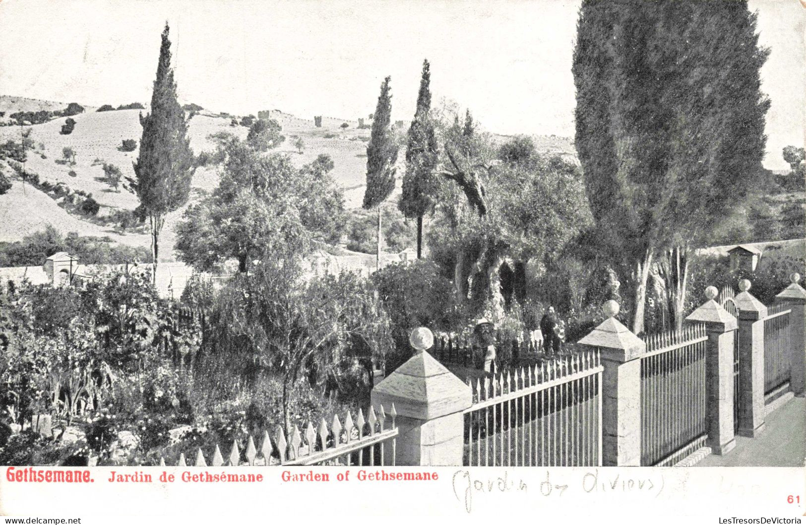 ISRAEL - Jérusalem - Gethsémané - Jardin De Gethsémané - Carte Postale Ancienne - Israël