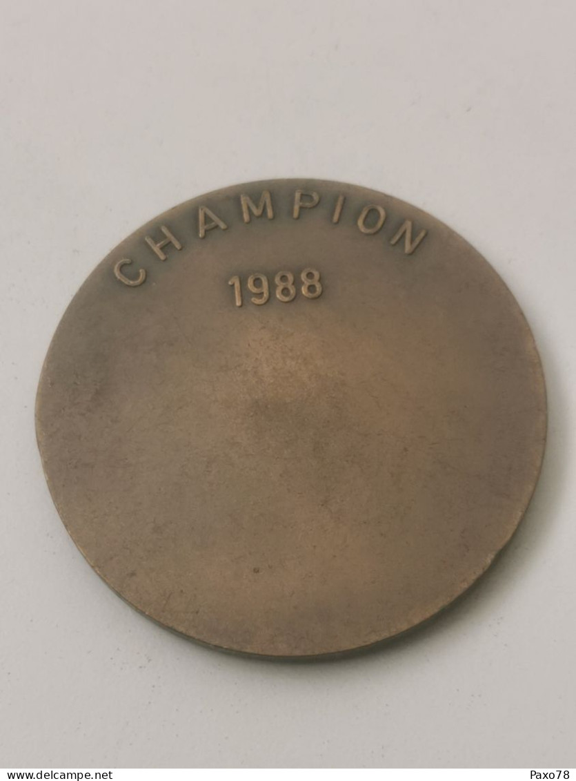 Luxembourg Médaille, Ministère De L'éducation Physique Et Sports, Champion 1988 - Other & Unclassified