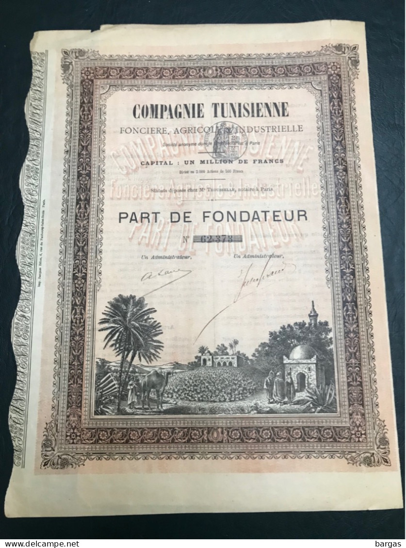 Compagnie Tunisienne Foncière Agricole Et Industrielle - Afrika