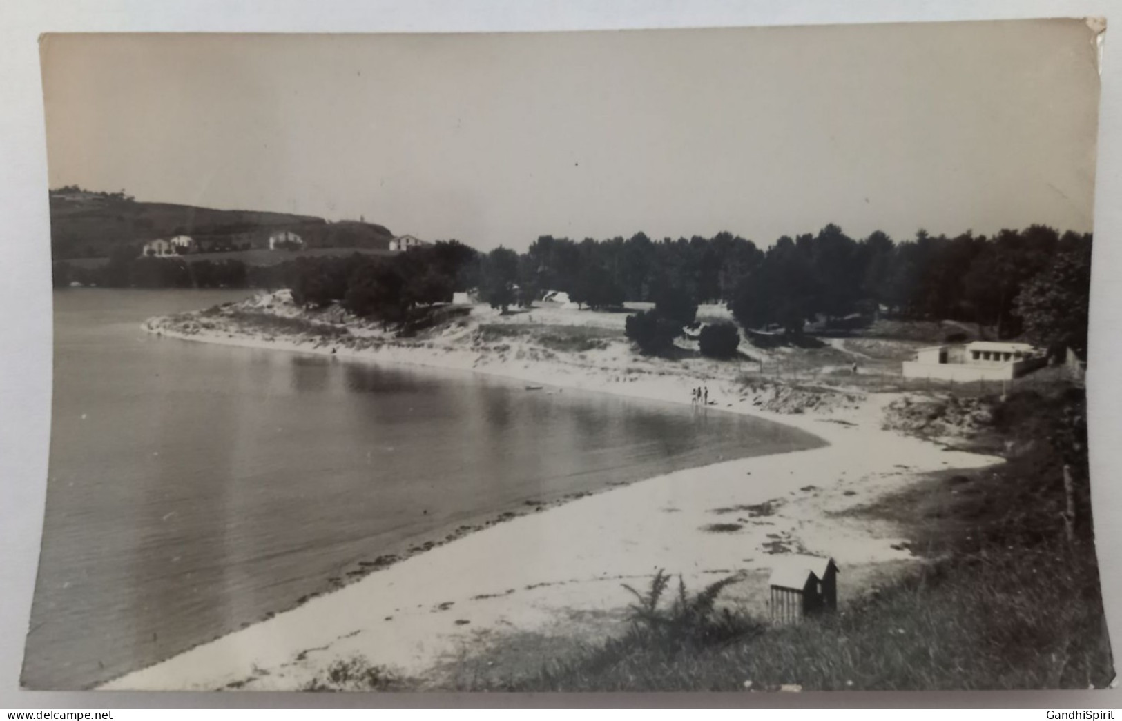 San Vicente De La Barquera - La Playa - Postal Fotográfica - Cantabria (Santander)